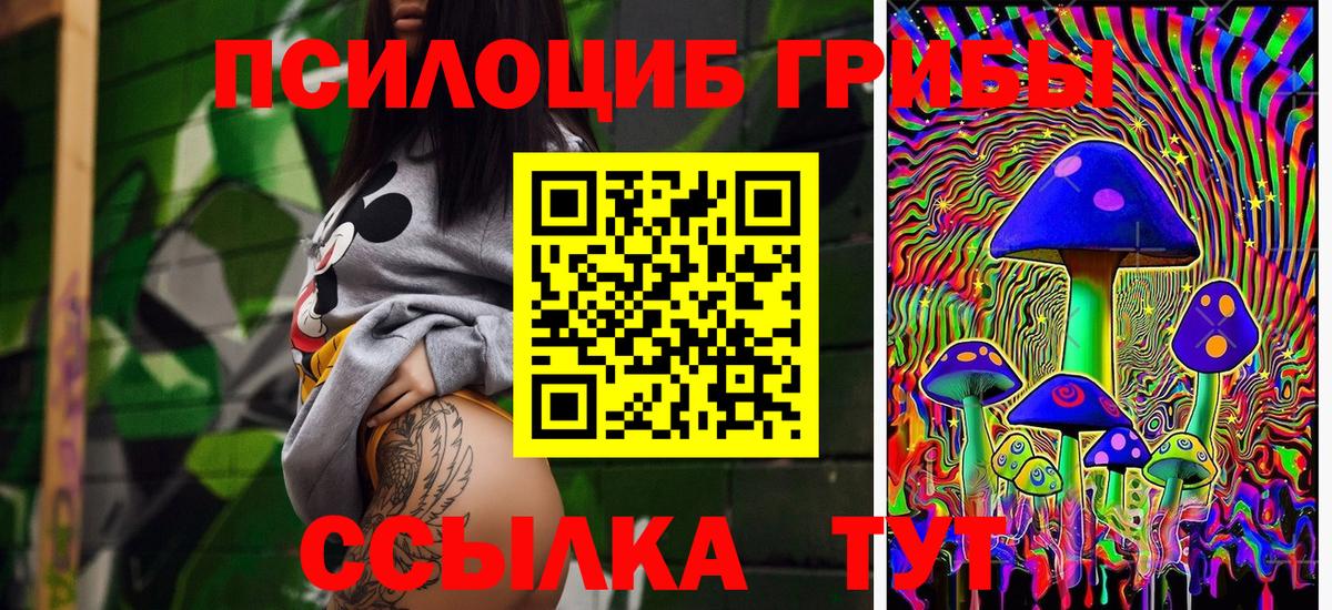 Псилоцибиновые грибы мицелий Губкин